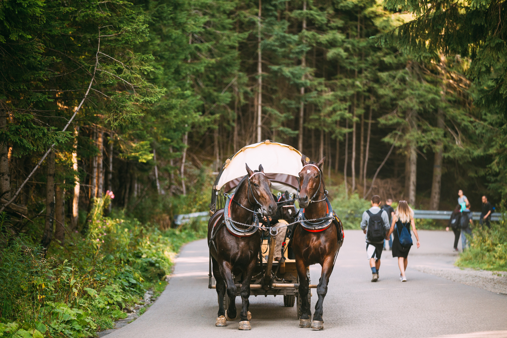 Tatra National Park, Poland. Man In National Traditional Pol