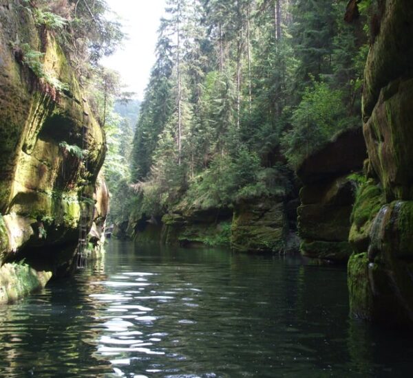 71b67ea97b28fefa1c339f4d5fd7e6b3