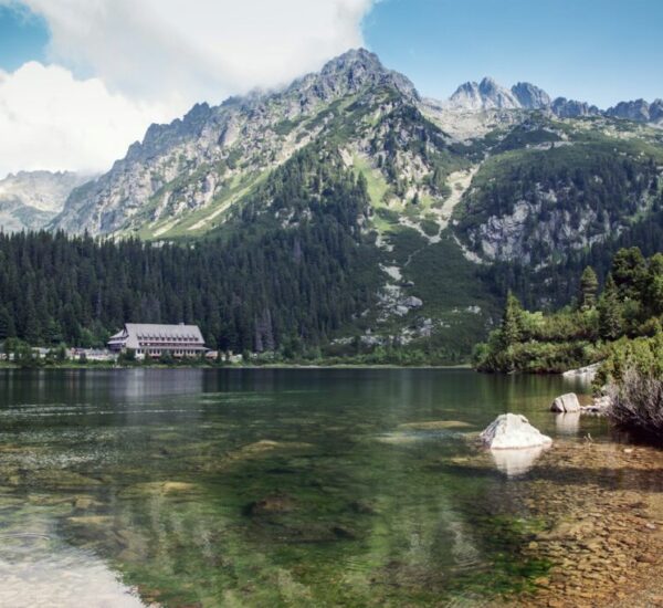 marek-levak-RErhr8r1q6s-unsplash