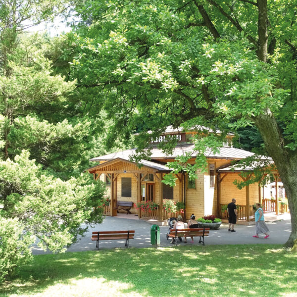 Rymanów-Zdrój-Spa-Resort-luxury-boutique-travel-gallery3